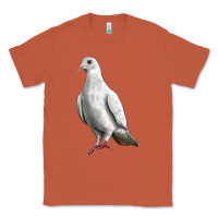 Copper Dove Classic Tee - LillyAllenDesigns