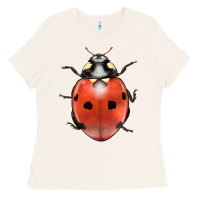 Bone lady bug Ladies Tee - LillyAllenDesigns