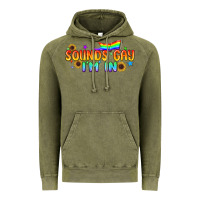 Sounds Gay I'm In Pride Lgbtq Vintage Hoodie | Teevron