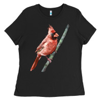 Black Northern Cardinal Bird Ladies Tee - LillyAllenDesigns