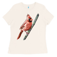 Bone Northern Cardinal Bird Ladies Tee - LillyAllenDesigns