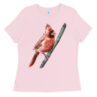 Northern Cardinal Bird Ladies Tee | Teevron
