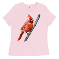 Bubblegum Pink Northern Cardinal Bird Ladies Tee - LillyAllenDesigns