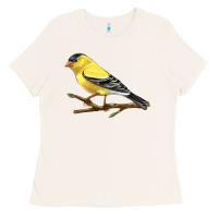 Bone American Goldfinch Ladies Tee - LillyAllenDesigns
