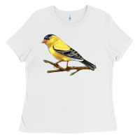 White American Goldfinch Ladies Tee - LillyAllenDesigns