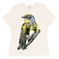Bone yellow rumped warbler Ladies Tee - LillyAllenDesigns