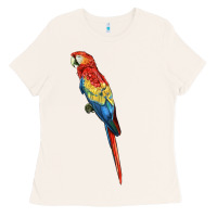 Bone Scarlet Macaw Parrot Ladies Tee - LillyAllenDesigns
