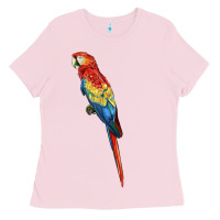 Scarlet Macaw Parrot Ladies Tee | Teevron