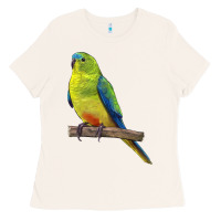 Bone Neophema Parrot Ladies Tee - LillyAllenDesigns
