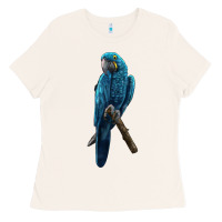 Bone Hyacinth Macaw Ladies Tee - LillyAllenDesigns