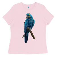 Hyacinth Macaw Ladies Tee | Teevron