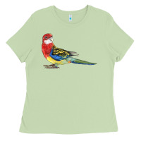 Matcha Rosella Bird Ladies Tee - LillyAllenDesigns