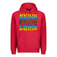 Cardinal pride pride pride Premium Hoodie - OliviaCreatesArt