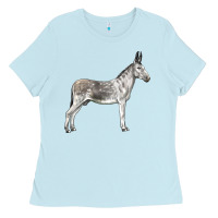 Baby Blue Andalusian Donkey Ladies Tee - LillyAllenDesigns