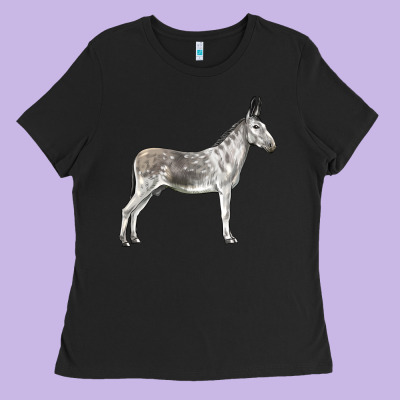Andalusian Donkey Ladies Tee Designed By Lillyallendesigns