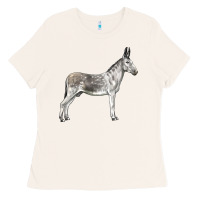 Bone Andalusian Donkey Ladies Tee - LillyAllenDesigns