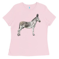 Bubblegum Pink Andalusian Donkey Ladies Tee - LillyAllenDesigns