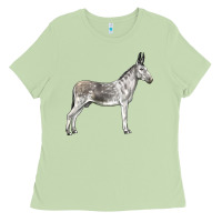 Matcha Andalusian Donkey Ladies Tee - LillyAllenDesigns