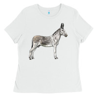 White Andalusian Donkey Ladies Tee - LillyAllenDesigns