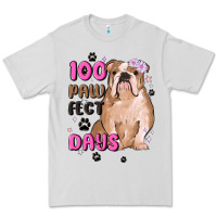 Dove Grey 100 days of school Premium Tee - MaliasSmallBusiness