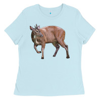 Baby Blue Red Brocket Buck Deer Ladies Tee - LillyAllenDesigns