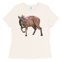 Bone Red Brocket Buck Deer Ladies Tee - LillyAllenDesigns