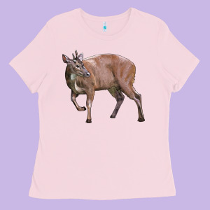 Red Brocket Buck Deer Ladies Tee Designed By Lillyallendesigns