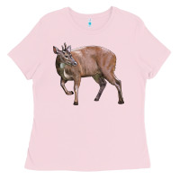 Bubblegum Pink Red Brocket Buck Deer Ladies Tee - LillyAllenDesigns
