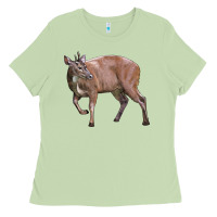 Matcha Red Brocket Buck Deer Ladies Tee - LillyAllenDesigns
