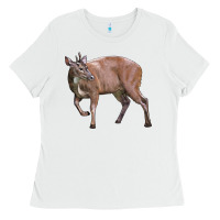 White Red Brocket Buck Deer Ladies Tee - LillyAllenDesigns