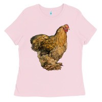 Bubblegum Pink Cochin Chicken Ladies Tee - LillyAllenDesigns