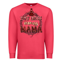 Cardinal Hot mess express mama Mother's Day Premium Sweatshirt - FaDigitalArtStudio