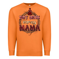Carrot Hot mess express mama Mother's Day Premium Sweatshirt - FaDigitalArtStudio