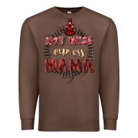 Chestnut Hot mess express mama Mother's Day Premium Sweatshirt - FaDigitalArtStudio