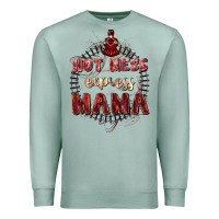 Seafoam Hot mess express mama Mother's Day Premium Sweatshirt - FaDigitalArtStudio