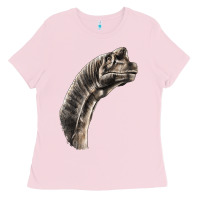 Bubblegum Pink brachiosaurus face Ladies Tee - LillyAllenDesigns