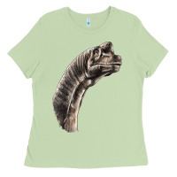 Matcha brachiosaurus face Ladies Tee - LillyAllenDesigns