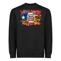 Black Dominican Republic and Puerto Rico Flag Heavyweight Sweatshirt - texasbilliewilder