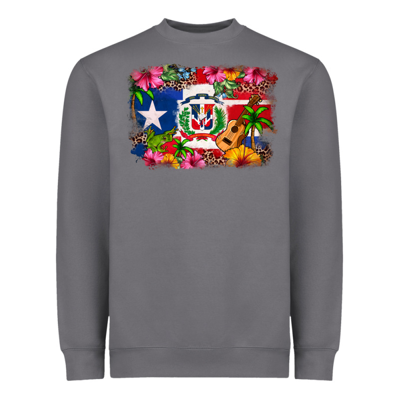 Dominican Republic And Puerto Rico Flag Heavyweight Sweatshirt by texasbilliewilder | Teevron