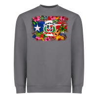 Storm Dominican Republic and Puerto Rico Flag Heavyweight Sweatshirt - texasbilliewilder