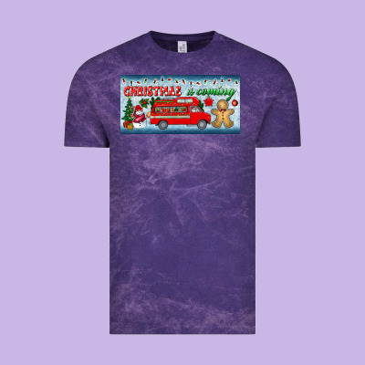 Christmas Is Coming License Plate Vintage Tee Designed By Bundleandbundleshop