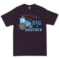 Plum promoted to big brother Premium Tee - MaliasSmallBusiness