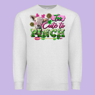 Too Cute To Pinch Premium Sweatshirt Designed By Fadigitalartstudio