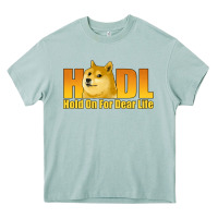 Arona hodl hold on for dear life dogecoin Heavy Core Tee - Jasminsmagicworld