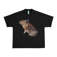 Black pika Urban Heavy Tee - LillyAllenDesigns