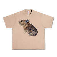 Burro pika Urban Heavy Tee - LillyAllenDesigns