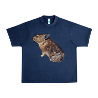 Navy pika Urban Heavy Tee - LillyAllenDesigns