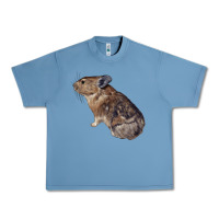 Pebble Blue pika Urban Heavy Tee - LillyAllenDesigns