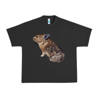 Pigment Black pika Urban Heavy Tee - LillyAllenDesigns