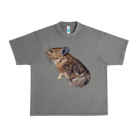 Tornado pika Urban Heavy Tee - LillyAllenDesigns